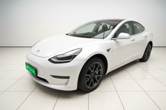 特斯拉 Model 3 2020款 改款 标准续航后驱升级版