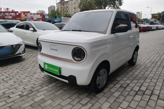 吉利银河 2024款 熊猫mini 200km 龙腾PRO版