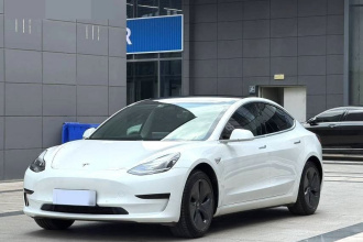 特斯拉 Model 3 2020款 改款 标准续航后驱升级版