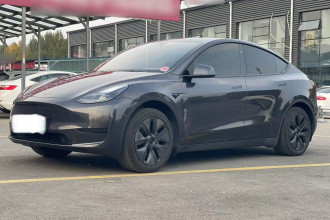 特斯拉 Model Y 2024款 后轮驱动版