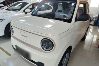吉利银河 2023款 熊猫mini 200km 耐力熊