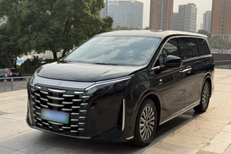 比亚迪 夏 2025款 DM-i 1.5T 100km 超越型