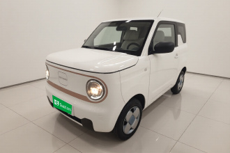 吉利银河 2024款 熊猫mini 200km 耐力熊
