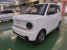 吉利银河 2024款 熊猫mini 200km 耐力熊