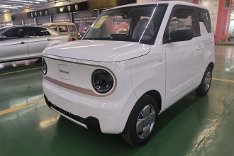 吉利银河 2024款 熊猫mini 200km 耐力熊