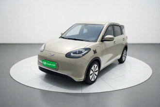 五菱汽车 五菱缤果 2023款 333km 快享款