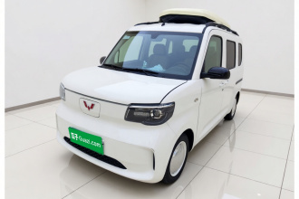 五菱汽车 五菱之光新能源 2025款 305km 进取型