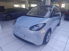 五菱汽车 五菱缤果 2025款 333km 灵犀互联款