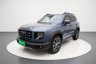 哈弗大狗 2022款 1.5T DCT两驱拉布拉多版