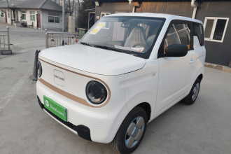 吉利银河 2024款 熊猫mini 200km 耐力熊