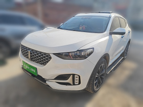 魏牌 VV6 2021款 2.0T 两驱智享+