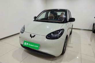 五菱汽车 五菱缤果 2023款 333km 灵犀互联+款