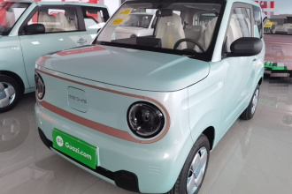 吉利银河 2024款 熊猫mini 200km 耐力熊