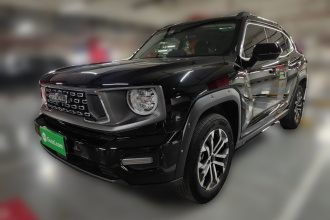 哈弗大狗 PLUS 2023款 2.0T 两驱潮野版Plus