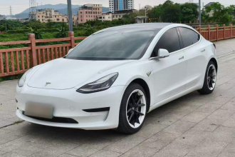 特斯拉 Model 3 2020款 标准续航后驱升级版