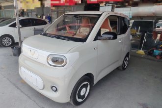 五菱汽车 宏光MINIEV 2024款 第三代 215km 青春版