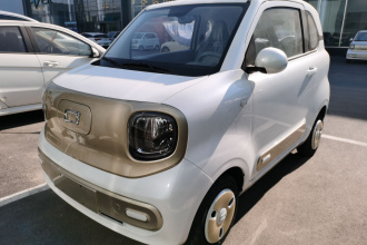 奔腾小马 2025款 222km 闪电马