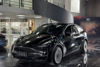 特斯拉 Model Y 2021款 标准续航后驱版