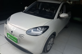 五菱汽车 五菱缤果 2023款 203km 轻享款