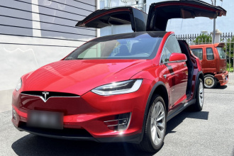 特斯拉 Model X 2019款 长续航版