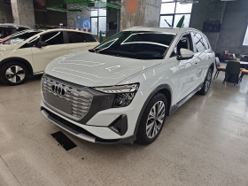 奥迪Q5 e-tron 2023款 40 e-tron 闪耀型 锦衣套装