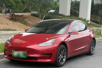 特斯拉 Model 3 2020款 标准续航后驱升级版