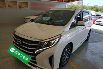 广汽传祺 传祺M8 2021款 领秀系列 390T 豪华版
