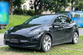 特斯拉 Model Y 2021款 标准续航后驱版