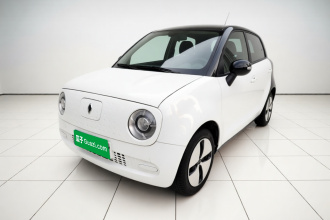 欧拉黑猫 2021款 301km 基础型