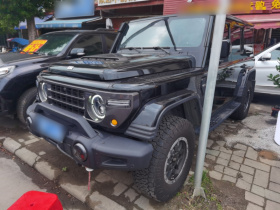 212 T01 2025款 2.0T 长风