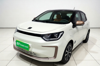 思皓 2022款 花仙子款 四叶草