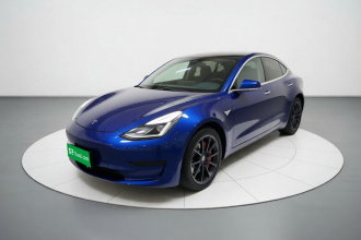 特斯拉 Model 3 2019款 标准续航后驱升级版