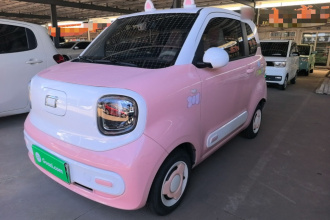 奔腾小马 2024款 170km 活力马