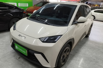 比亚迪 海鸥 2023款 飞翔版