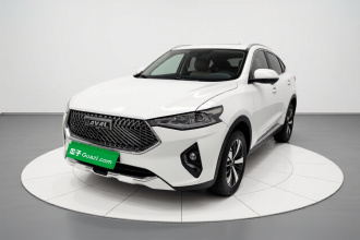 哈弗F7x 2021款 1.5T 两驱极智潮玩版