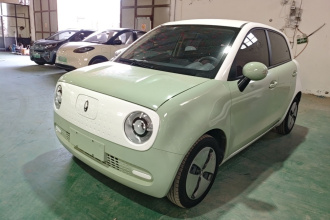 欧拉黑猫 2022款 301km 基础型 三元锂