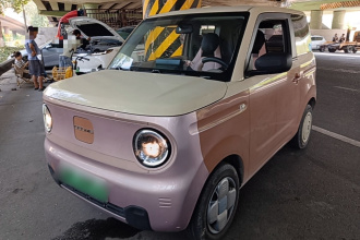 吉利银河 2023款 熊猫mini 200km 耐力熊