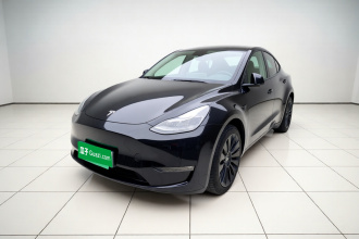 特斯拉 Model Y 2021款 标准续航后驱版