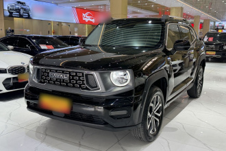 哈弗大狗 PLUS 2023款 2.0T 两驱潮野版Plus