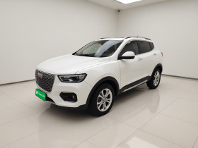 哈弗H2s 2018款 红标 1.5T 双离合精英型