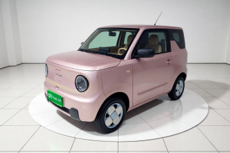 吉利银河 2023款 熊猫mini 200km 耐力熊