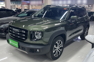 哈弗大狗 2021款 1.5T DCT两驱边牧版