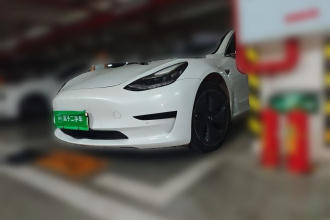 特斯拉 Model 3(进口) 2019款 标准续航后驱升级版