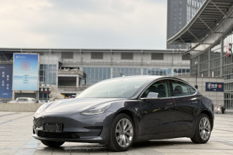 特斯拉 Model 3 2019款 标准续航后驱升级版