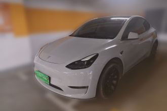 特斯拉 Model Y 2021款 标准续航后驱版