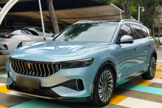 岚图汽车 岚图FREE 2021款 四驱标准增程专属豪华套装