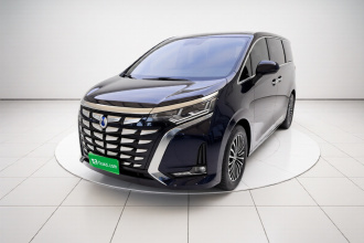 腾势D9 2024款 DM-i 1050 尊享型