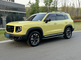 哈弗大狗 2021款 2.0T DCT四驱哮天犬版