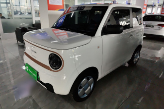 吉利银河 2024款 熊猫mini 200km 耐力熊