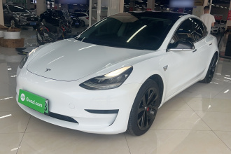 特斯拉 Model 3 2020款 标准续航后驱升级版